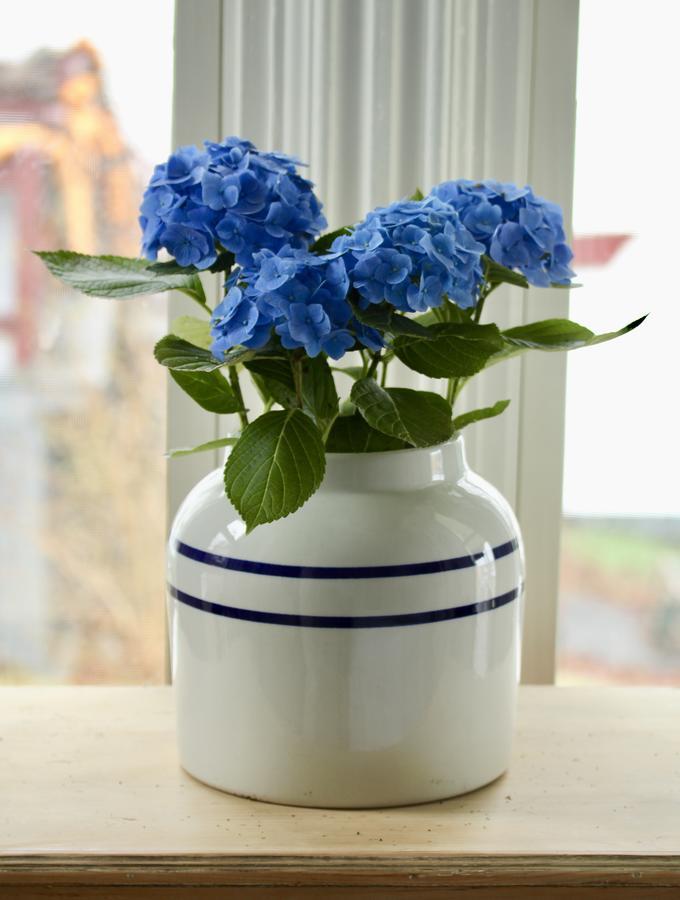 Captain Sawyer'S Bed And Breakfast Boothbay Harbor Εξωτερικό φωτογραφία